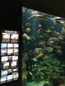 加茂水族館